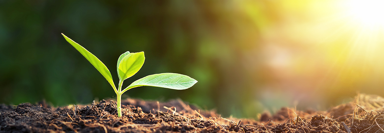 Βιώσιμα ταξίδια MICE